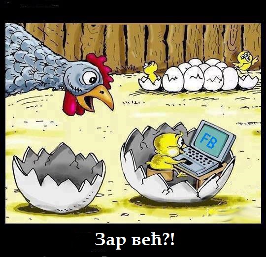 306817_340617022689536_1945687349_n