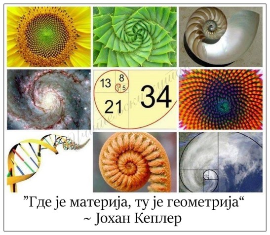 1907998_808105835877096_5115281736348366445_n