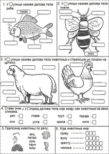 Slicnosti_razlike_zivotinje