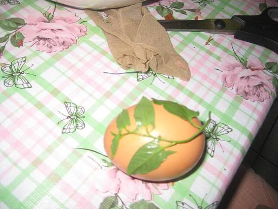 farbanjeuskrsnjih jaja lukovina 1